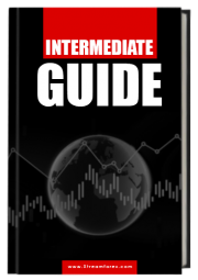 Intermediate Guide