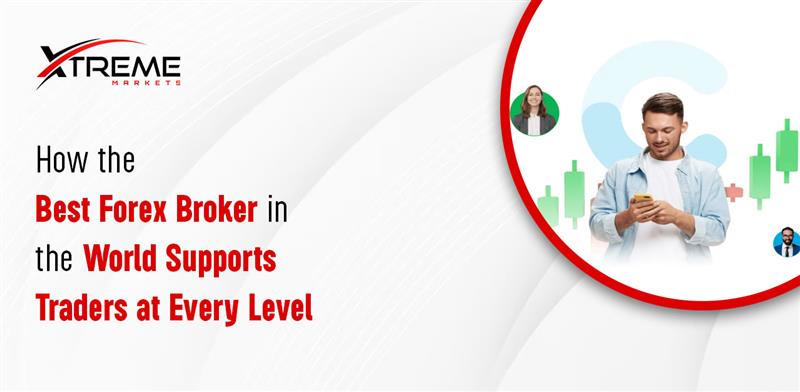 Best Forex Broker in the World