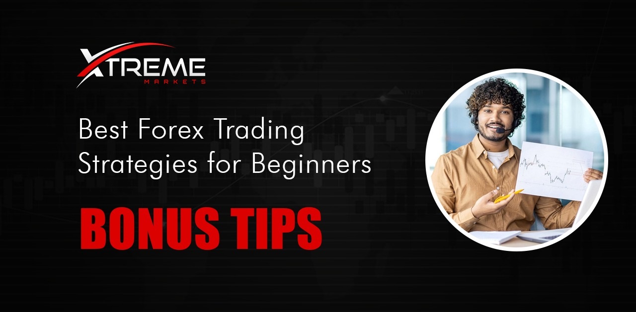 Forex Trading Strategies for Beginners